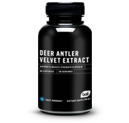 Deer Antler Velvet Extract