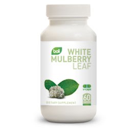 White Mulberry Leaf